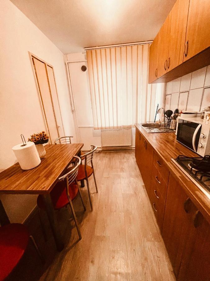 Ultracentral Big Apartment - Near The Opera Square P17 Timişoara Exteriör bild