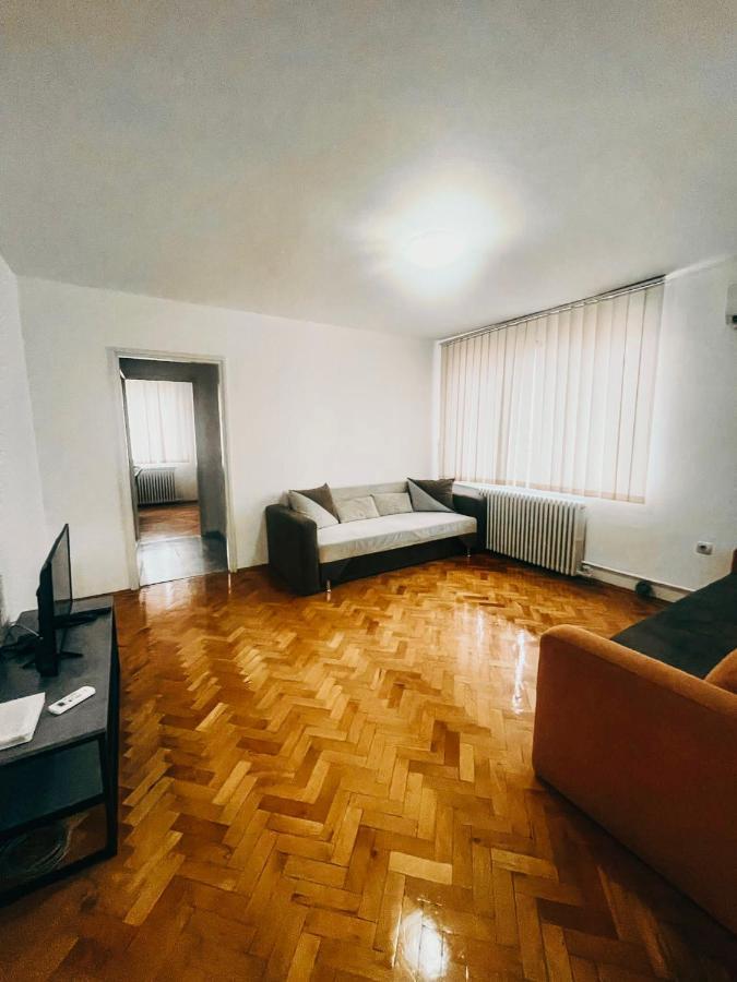 Ultracentral Big Apartment - Near The Opera Square P17 Timişoara Exteriör bild