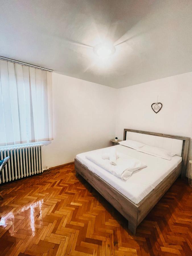 Ultracentral Big Apartment - Near The Opera Square P17 Timişoara Exteriör bild