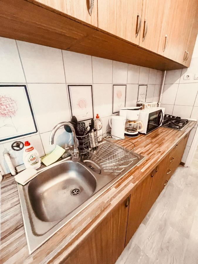 Ultracentral Big Apartment - Near The Opera Square P17 Timişoara Exteriör bild
