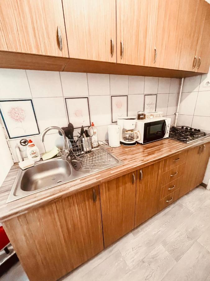 Ultracentral Big Apartment - Near The Opera Square P17 Timişoara Exteriör bild