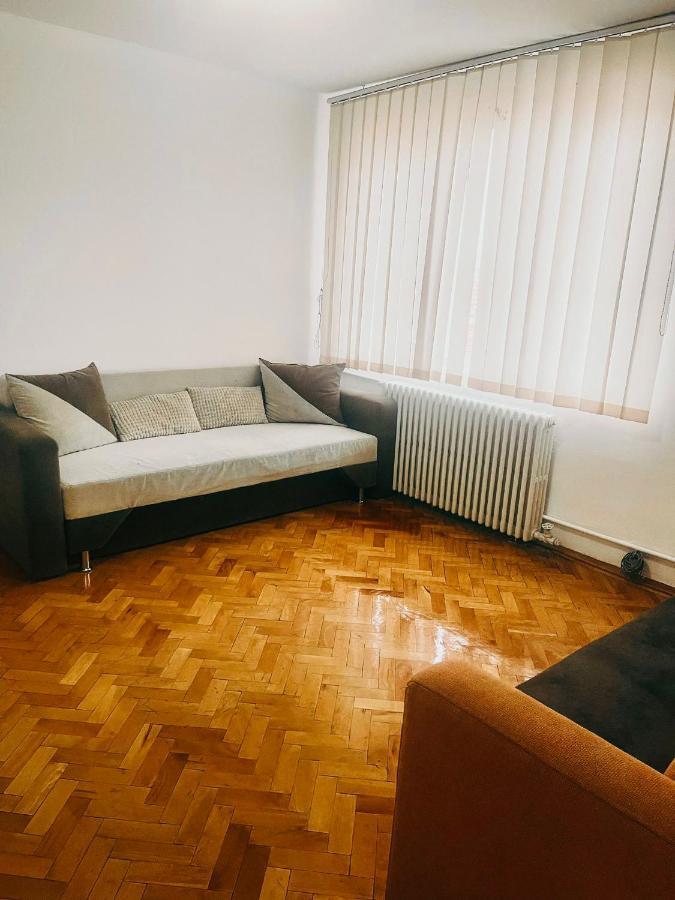 Ultracentral Big Apartment - Near The Opera Square P17 Timişoara Exteriör bild