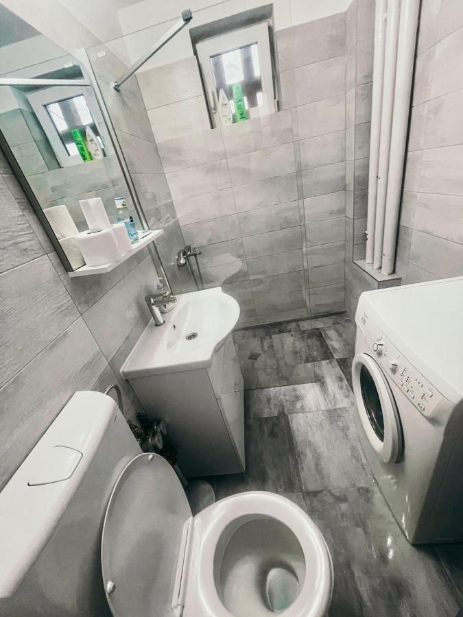 Ultracentral Big Apartment - Near The Opera Square P17 Timişoara Exteriör bild