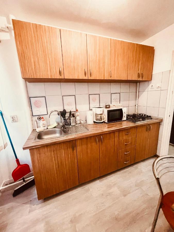 Ultracentral Big Apartment - Near The Opera Square P17 Timişoara Exteriör bild