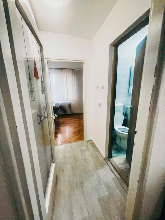 Ultracentral Big Apartment - Near The Opera Square P17 Timişoara Exteriör bild